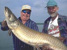 Vertical Holds And Time-out-of-water: Critical Issues in the Handling and Release of Trophy-sized Esox by Michael Butler