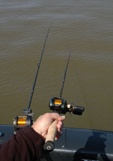 24 Walleye Fishing Essentials