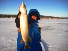 Search the Weed Lines for First Ice Pike