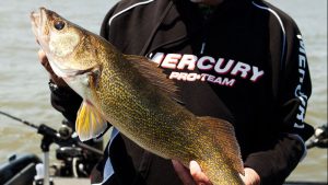 Top Patterns for Fall Walleyes