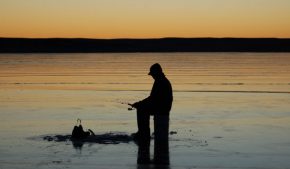 When ice fishing for walleyes, when should I set tip-ups, and when should I concentrate on jigging?
