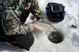 How to set-up tip-ups for walleyes
