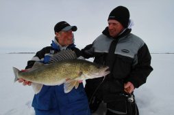 Walleyes on the Rim