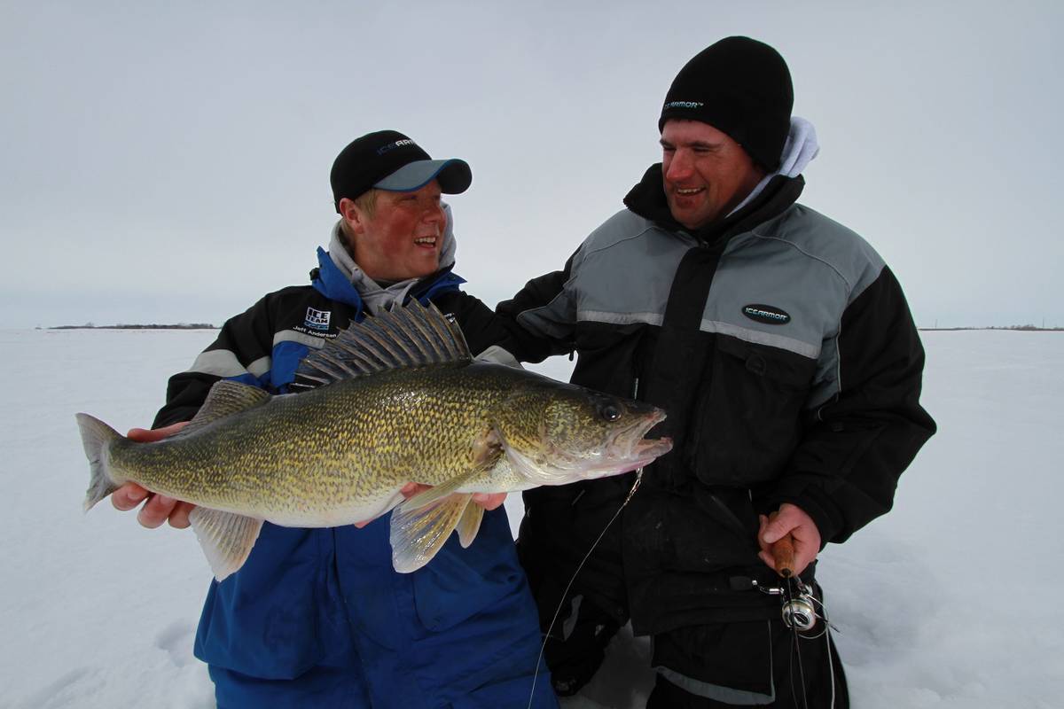 Walleye on the Edge - THE NEXT BITE TV