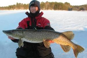Quick Strike Your Way To More Winter Pike - THE NEXT BITE TV
