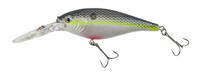 Racey-Mouse-Shad-200x73