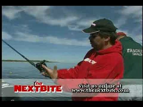 Tag: Line Counter Reel - THE NEXT BITE TV
