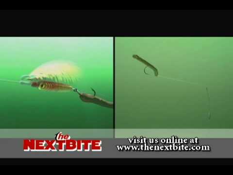 Tag: Off Shore Tackle Snap Weight - THE NEXT BITE TV