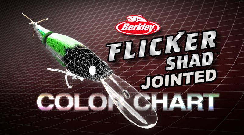 Flicker Shad Jointed Color Guide - THE NEXT BITE TV
