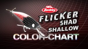 Flicker Shad Shallow Color Guide