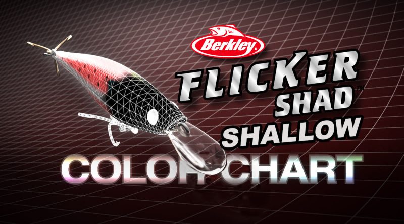 Flicker Shad Shallow Color Guide - THE NEXT BITE TV