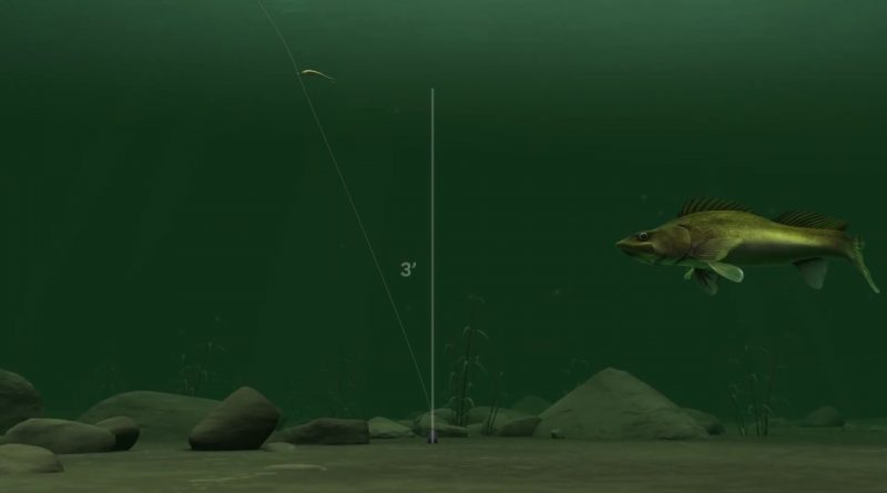 BERKLEY Fishing Fusion19 Drop Shot Weights