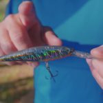 The Reason behind the NEW Berkley Fire Tail Colors