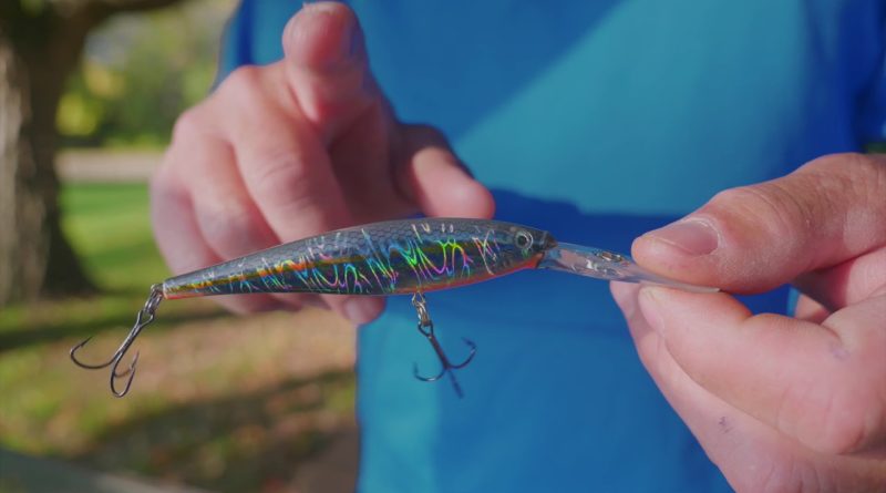 Tag: Berkley Jointed Flicker Shad - THE NEXT BITE TV