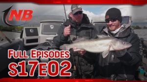Season 17 Episode 2: Trolling for Big Basin Walleyes on Small Wisconsin Lakes
