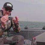 Glue On Your PowerBait For Lake Trout