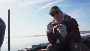 Few Bait Options to Try When Fish Walleyes on Shallow Rocks