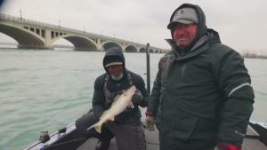 Personal Selective Harvest Guidelines for Detroit River Walleyes